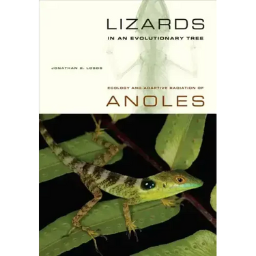 Lizards in an Evolutionary Tree: Ecology and Adaptive Radiation of Anoles Volume 10