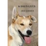 A Dog's Lives