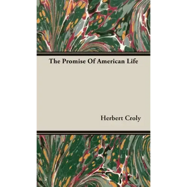 The Promise Of American Life