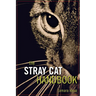 The Stray Cat Handbook