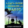 A Cat's Guide to Meddling with Magic