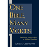 One Bible, Many Voices: Different Approaches to Biblical Studies