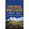 Spontaneous Manifestations From Zero: Tapping Into The Universal Flow