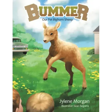 Bummer: Our Pet Bighorn Sheep