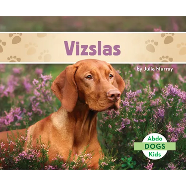 Vizslas
