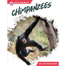Chimpanzees