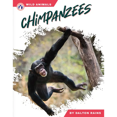 Chimpanzees