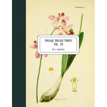 Vintage Botany Prints: Vol. 19