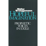 Hopeful Imagination