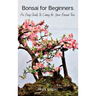 Bonsai for Beginners: An Easy Guide to Caring for Your Bonsai Tree