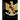 Military History of Indonesia