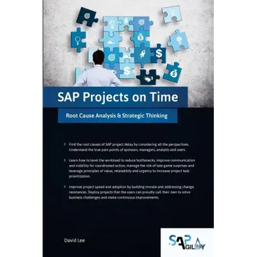 SAP Projects on Time: Root Cause Analysis & Strategic Thinking