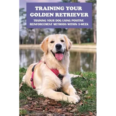 Training Your Golden Retriever: Training Your Dog Using Positive Reinforcement Methods Within 5-Week: Benefits Of Positive Reinforcement