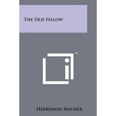 The Old Fellow