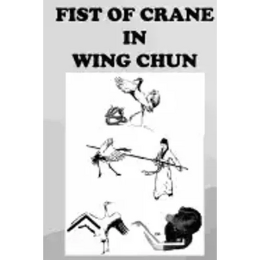 The crane fist in Wing Chun