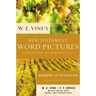 W. E. Vine's New Testament Word Pictures: Hebrews to Revelation: A Commentary Drawn from the Original Languages