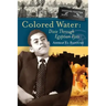 Colored Water: Dixie Through Egyptian Eyes
