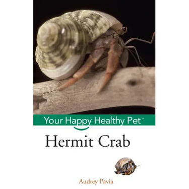Hermit Crab: Your Happy Healthy Pet