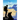 The Trail
