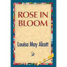 Rose in Bloom