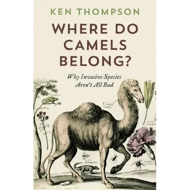 Where Do Camels Belong?: Why Invasive Species Aren't All Bad