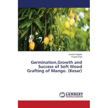 Germination, Growth and Success of Soft Wood Grafting of Mango. (Kesar)