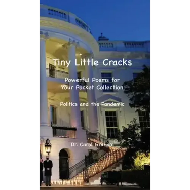 Tiny Little Cracks: Powerful Poems for Your Pocket Collection: Politics and the Pandemic