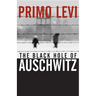 The Black Hole of Auschwitz