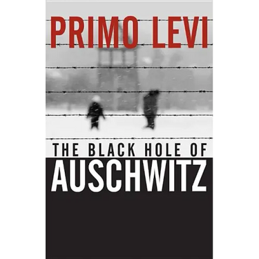 The Black Hole of Auschwitz