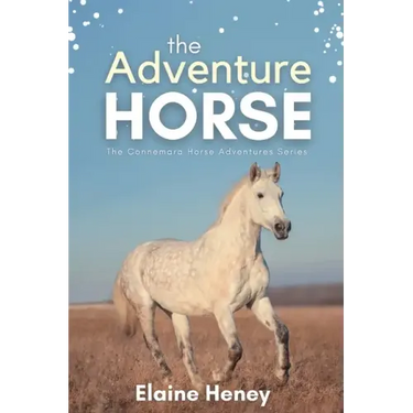 The Adventure Horse - Book 5 in the Connemara Horse Adventure Series for Kids
