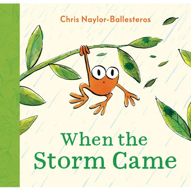 When the Storm Came