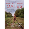 Little Bird of Heaven
