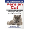 Persian Cat: From Kitten to Senior Age