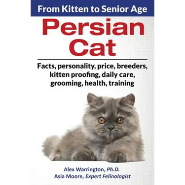 Persian Cat: From Kitten to Senior Age