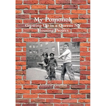 My Pomonok: Growing Up in a Queens NY Housing Project