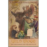 West of Wild Wood: The Professor and the Pan Flute