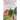 Growing His Dream: Volume 2