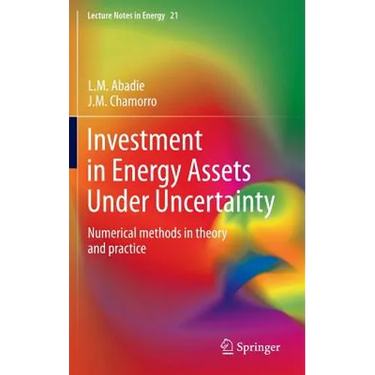 Investment in Energy Assets Under Uncertainty: Numerical Methods in Theory and Practice