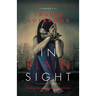 In Plain Sight: Mabel Peters Book 2