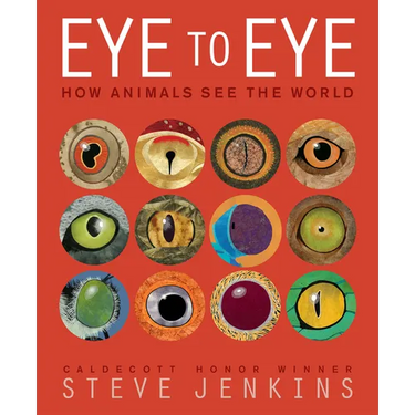 Eye to Eye: How Animals See the World