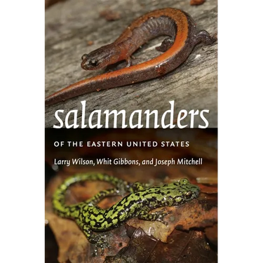 Salamanders of the Eastern United States