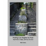 Finding Los Angeles By Foot: Stairstreet, bridge, pathway and lane