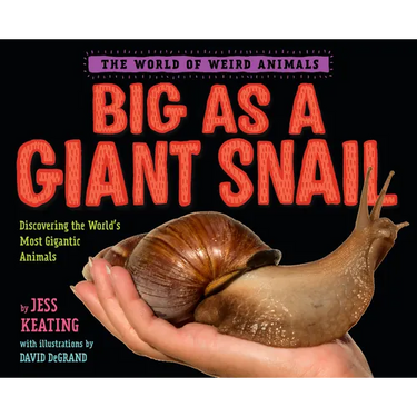 Big as a Giant Snail