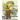 Brody Bear Visits the Dinosaur Museum!