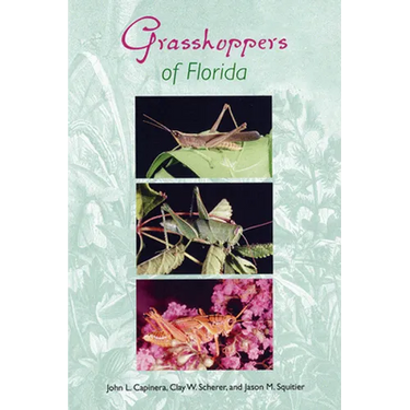 Grasshoppers of Florida