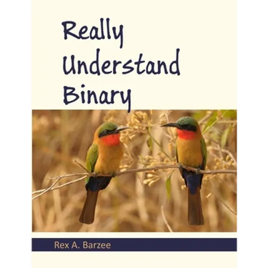 Really Understand Binary