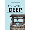 The Well is Deep: COVID Through a Chaplain's Eyes