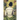 Symphony