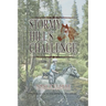 Stormy Hill's Challenge: Fourth Book in the Stormy Hill Series