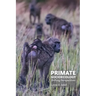 Primate Socioecology: Shifting Perspectives